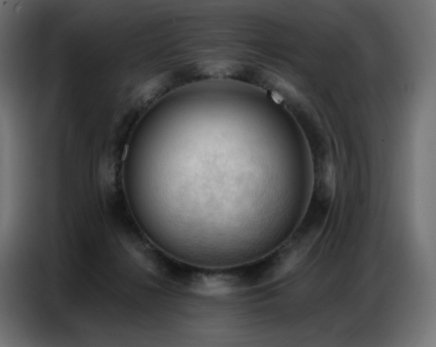 X0000086900268200704161325