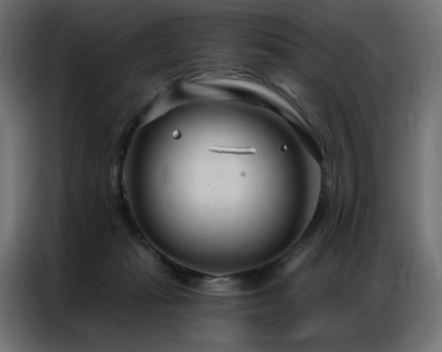 X0000086900269200704161325
