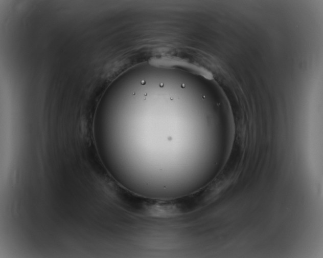 X0000086900270200704161325