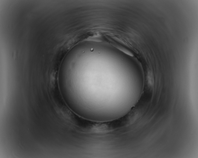 X0000086900271200704161325