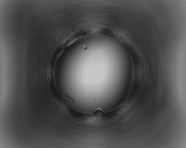 X0000086900274200704161325