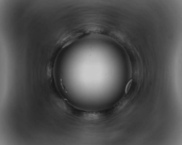 X0000086900282200704161325