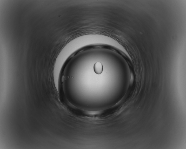 X0000086900284200704161325