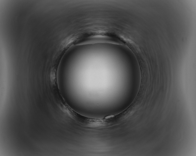 X0000086900288200704161325
