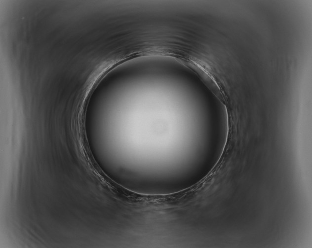 X0000086900289200704161324