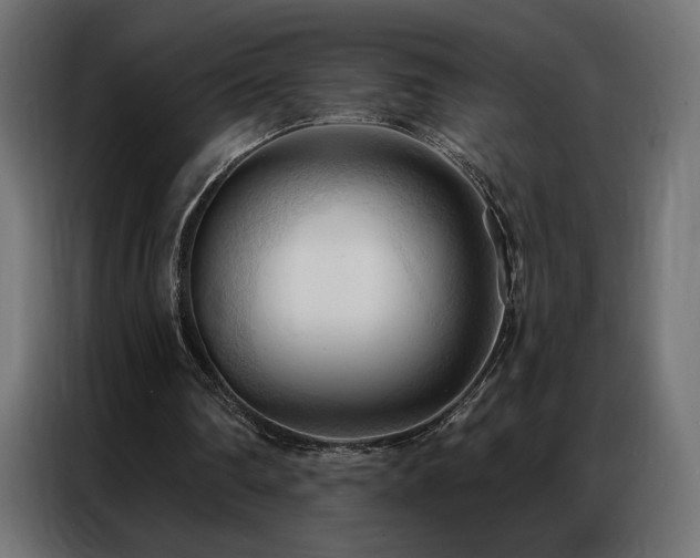 X0000086900290200704161324