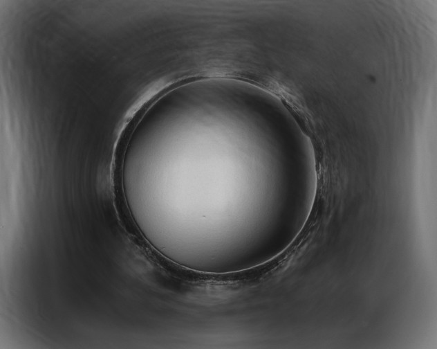 X0000086900292200704161324