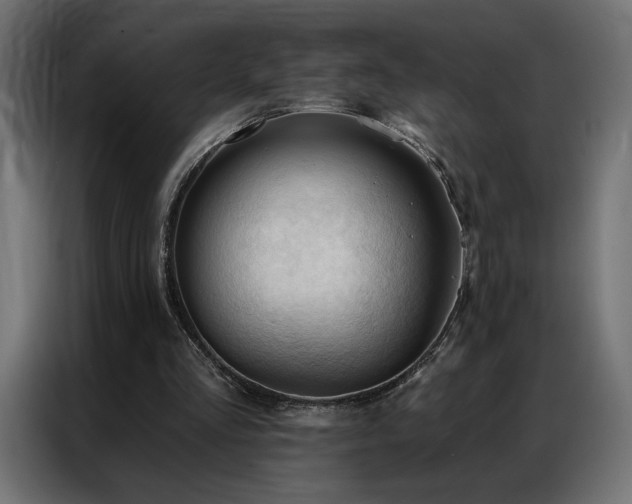 X0000086900293200704161324