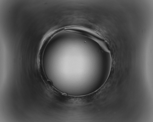 X0000086900294200704161324