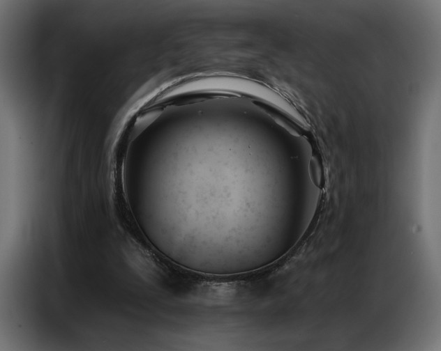 X0000086900295200704161324