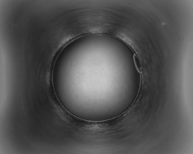 X0000086900297200704161324