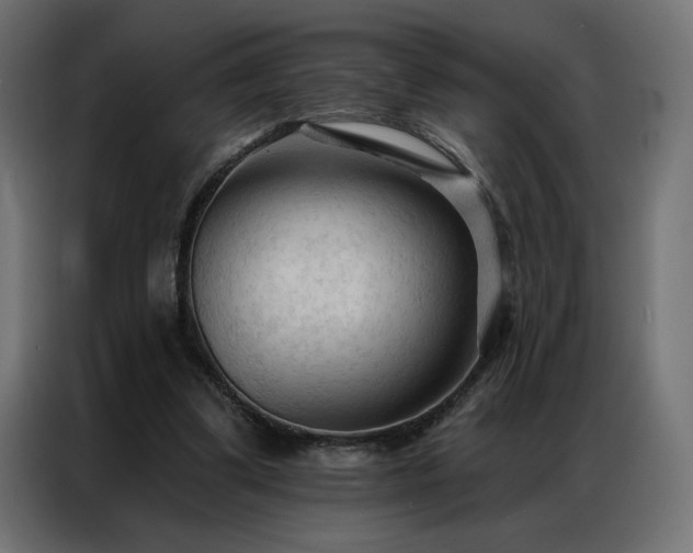 X0000086900299200704161324
