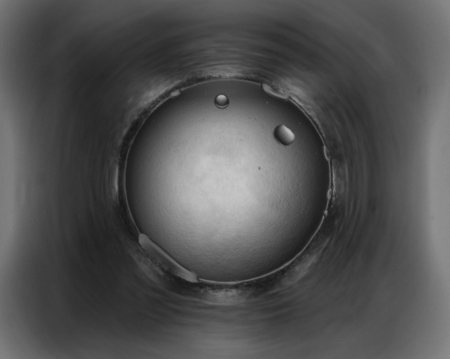 X0000086900301200704161324