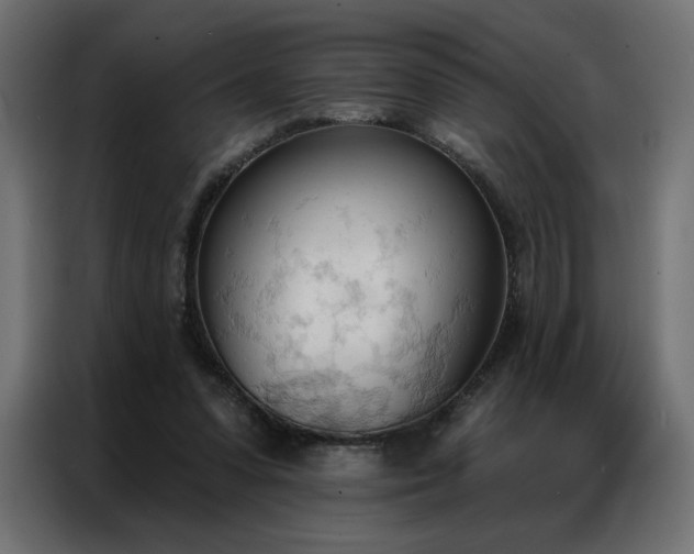 X0000086900303200704161324
