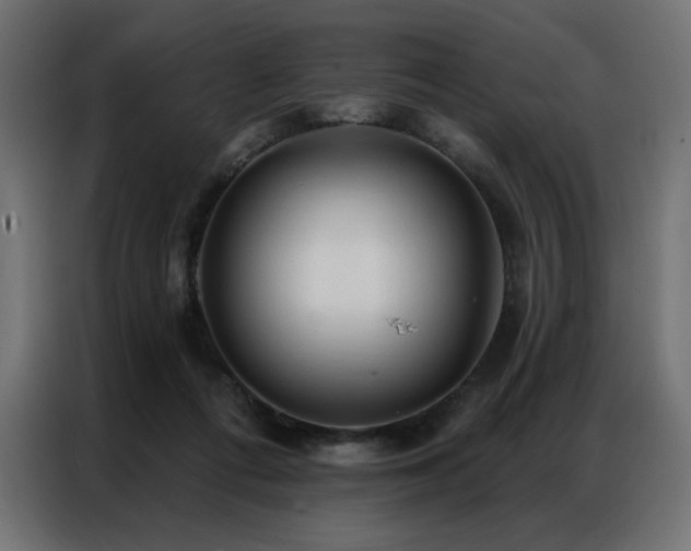 X0000086900312200704161324