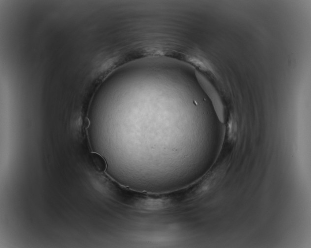 X0000086900314200704161324