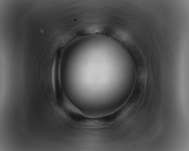 X0000086900315200704161324