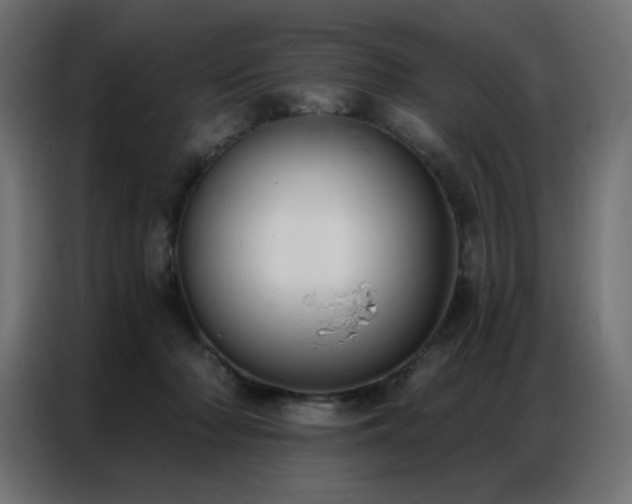 X0000086900318200704161324