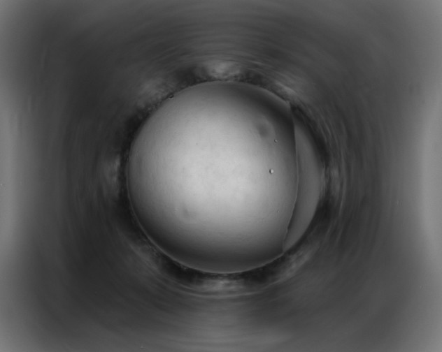 X0000086900319200704161324