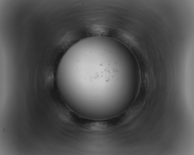 X0000086900320200704161324