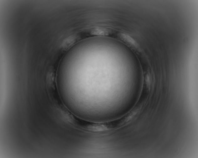 X0000086900322200704161324