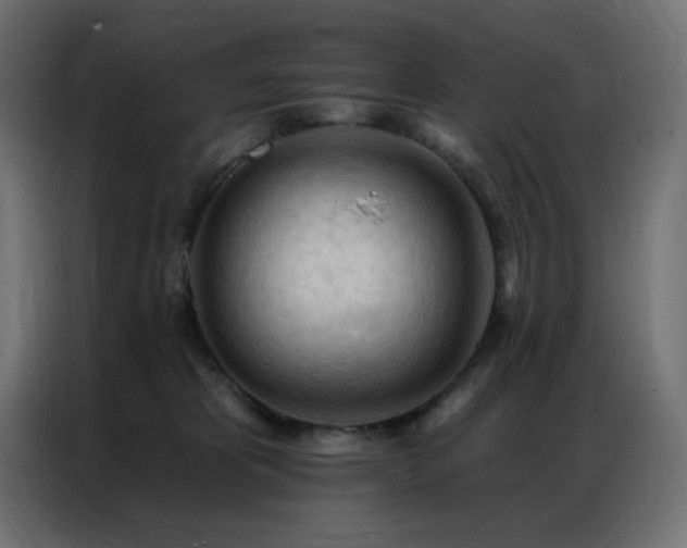 X0000086900325200704161324
