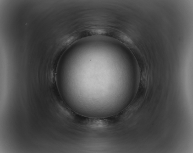 X0000086900330200704161324