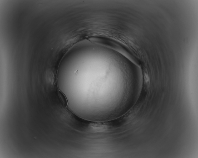 X0000086900331200704161324