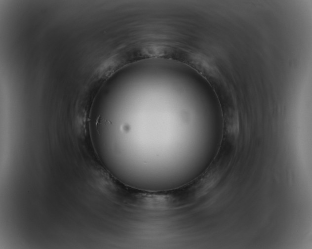 X0000086900332200704161324