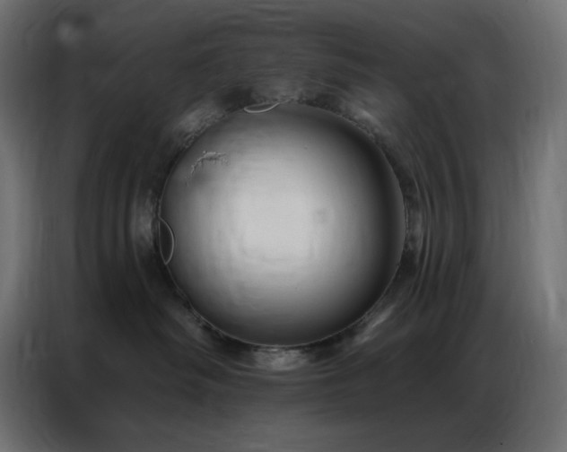 X0000086900334200704161323