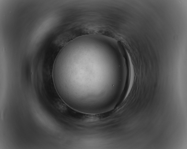 X0000086900335200704161323