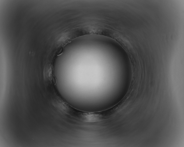 X0000086900336200704161323