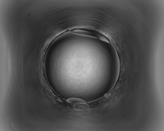 X0000086900337200704161323