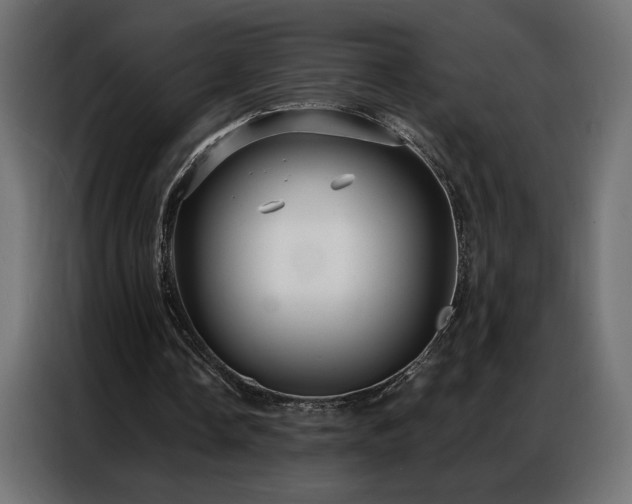 X0000086900338200704161323