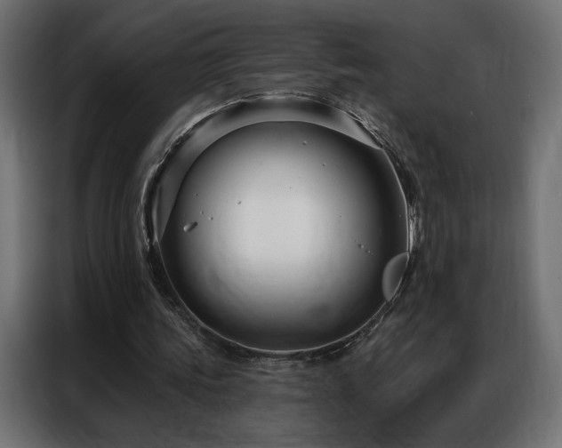 X0000086900339200704161323
