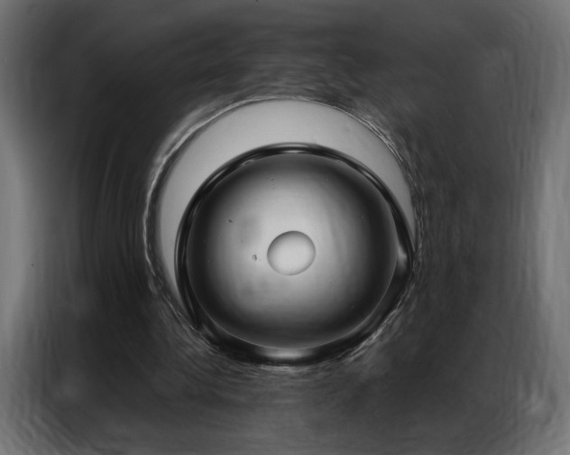 X0000086900340200704161323