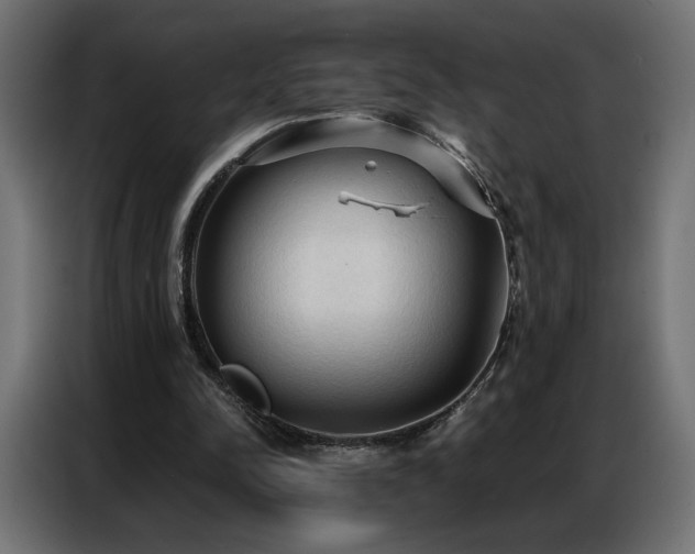 X0000086900342200704161323