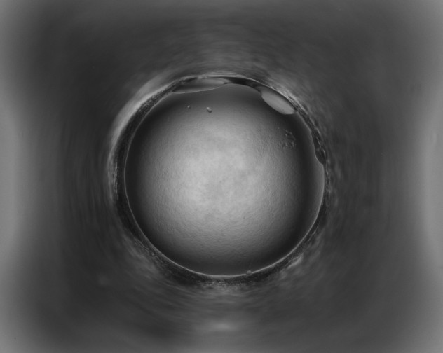 X0000086900343200704161323