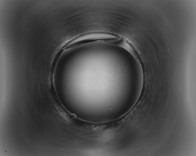X0000086900345200704161323