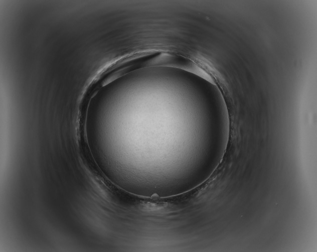 X0000086900346200704161323