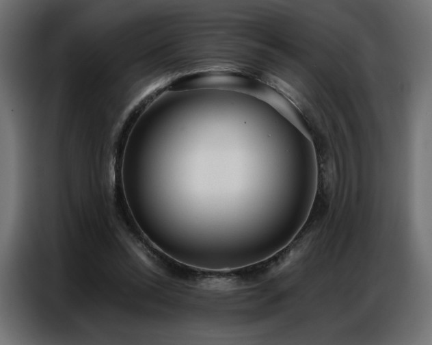 X0000086900350200704161323