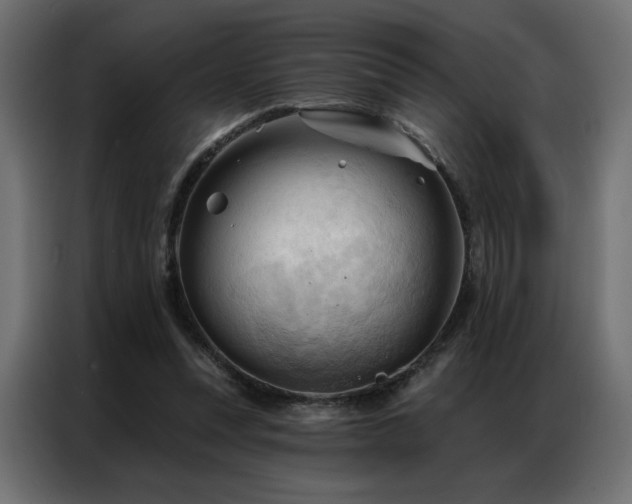 X0000086900351200704161323