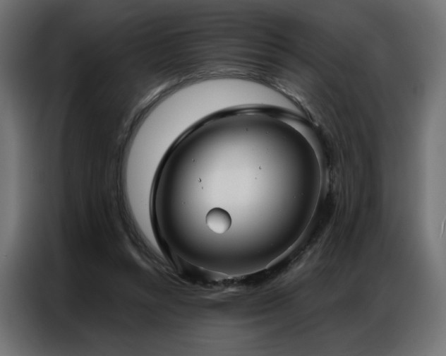 X0000086900352200704161323