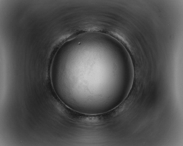 X0000086900353200704161323