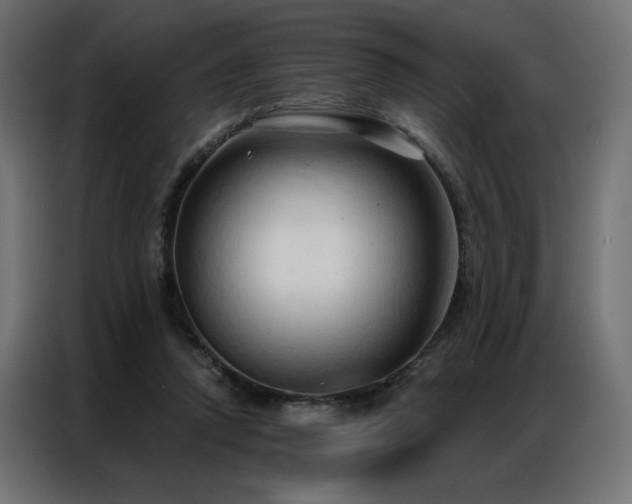 X0000086900354200704161323