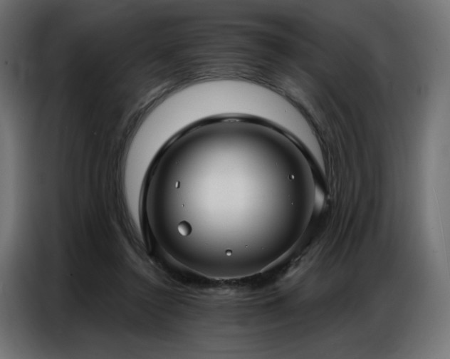 X0000086900356200704161323