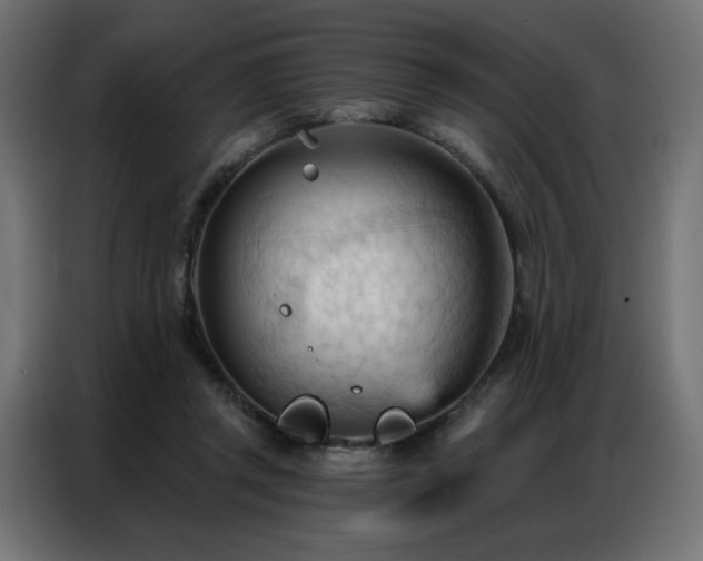 X0000086900357200704161323