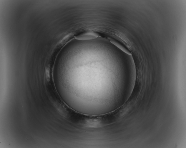 X0000086900358200704161323