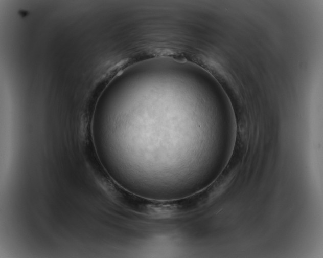 X0000086900359200704161323