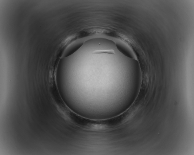X0000086900360200704161323